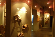 expozice mineralogie
