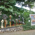 Jardim Tropical Monte Palace