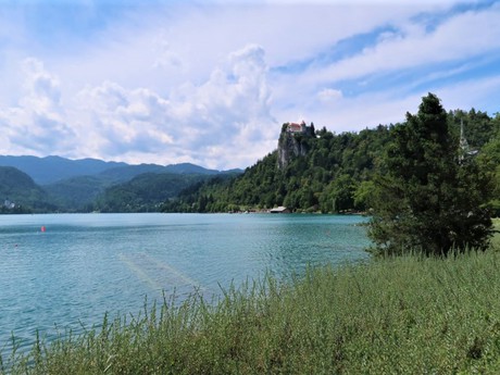 Bled (jazero)