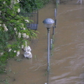 Praha, povodně 2013.jpg