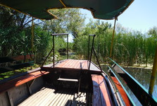 motorboat ride